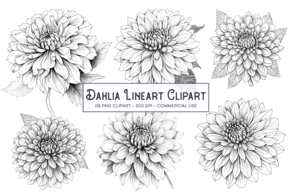 Download Dahlia Line Art Flower PNG Sublimation - Png Collection