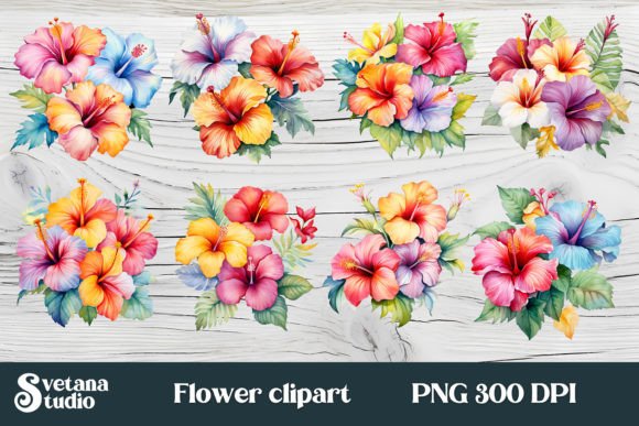 Download Hibiscus Tropical Flower Clipart PNG - Png Collection
