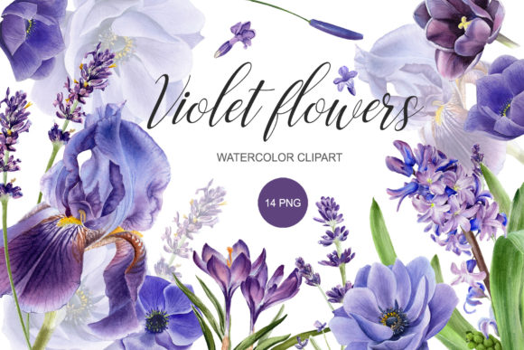 Download Watercolor Purple Flower Clipart. PNG - Png Collection